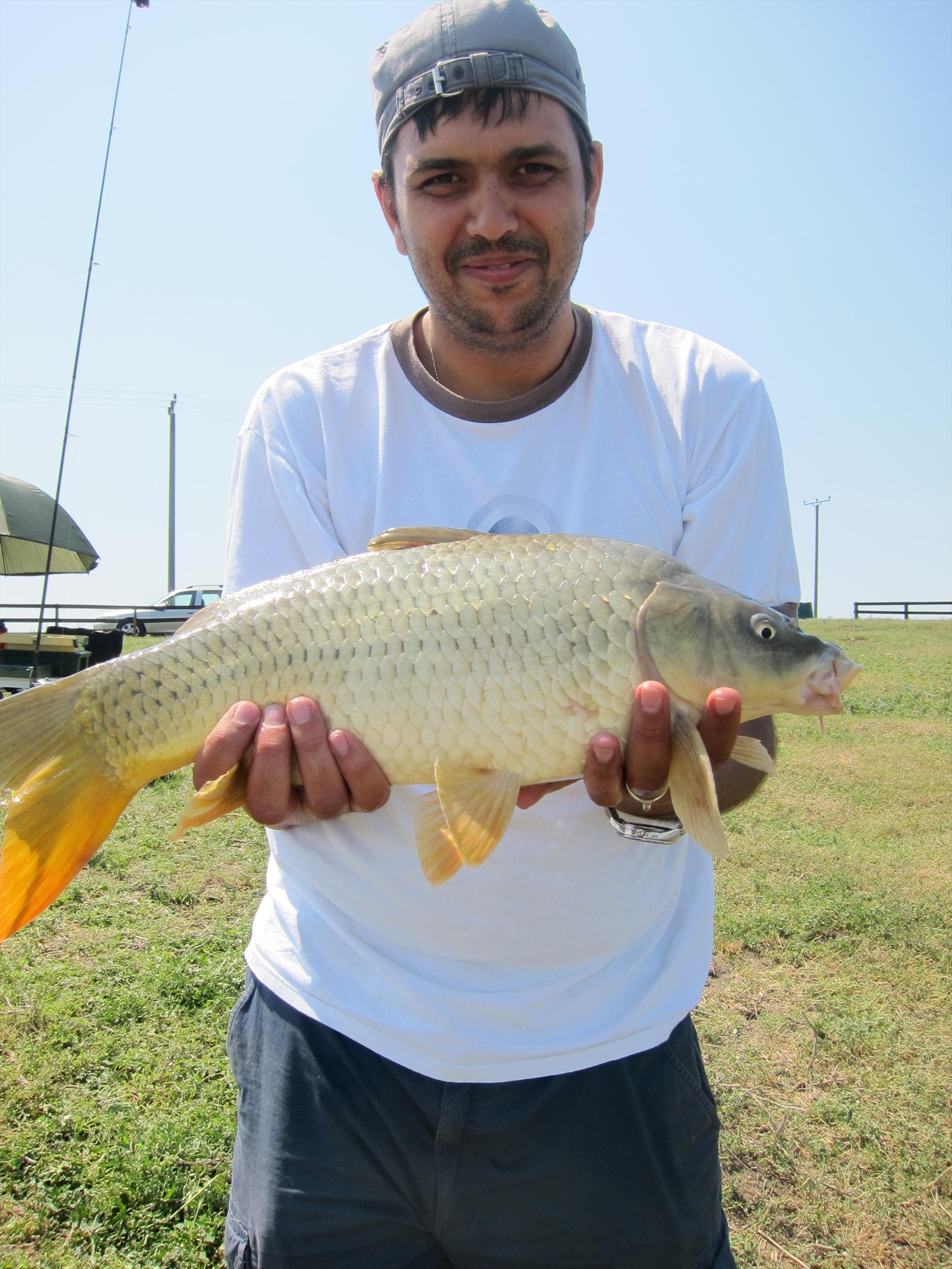 Solacolu - mai 2012 - img2381.JPG